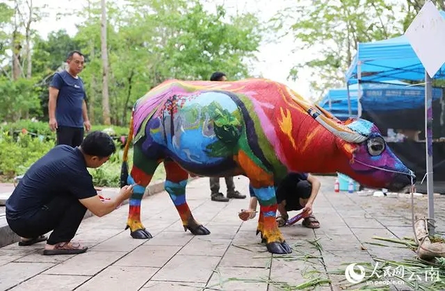 牛界“显眼包” 云南江城举行牛体彩绘大赛